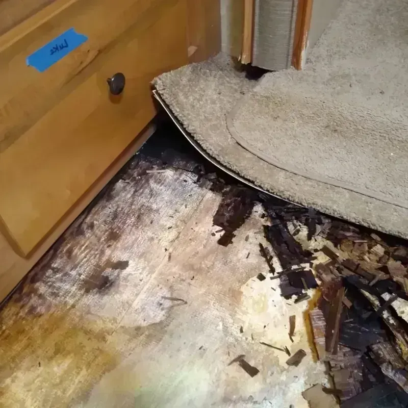 Best Wood Floor Water Damage Service in Evans County, GA